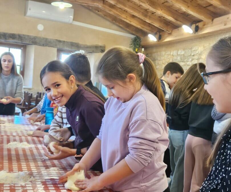 Izvanučionička nastava – Stella Croatica
