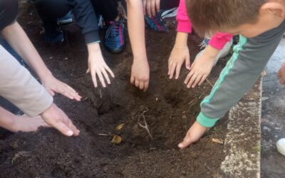 Sudjelovanje naših učenika u međunarodnom Climate Action Projectu!